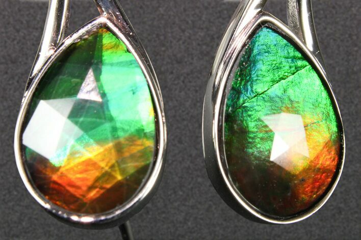 Flashy Ammolite (Fossil Ammonite Shell) Earrings with Sterling Silver #271779